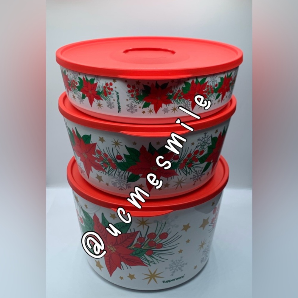 Tupperware Holiday Poinsettia Theme Ilumina StacknStore Set
